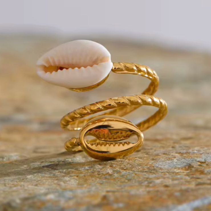Ring Kaurimuschel