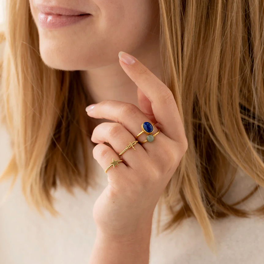 Ring Dragonfly