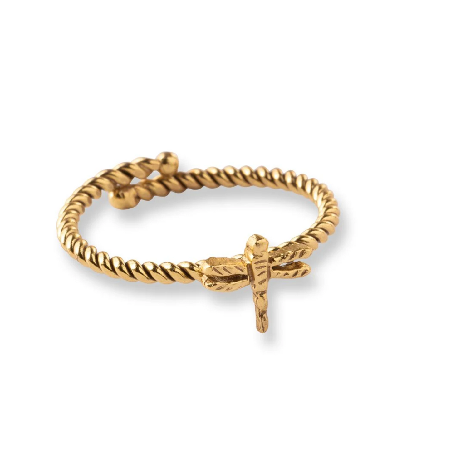 Ring Dragonfly