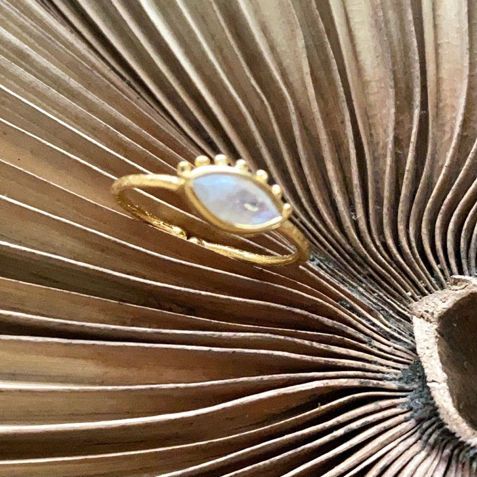 Ring Iris