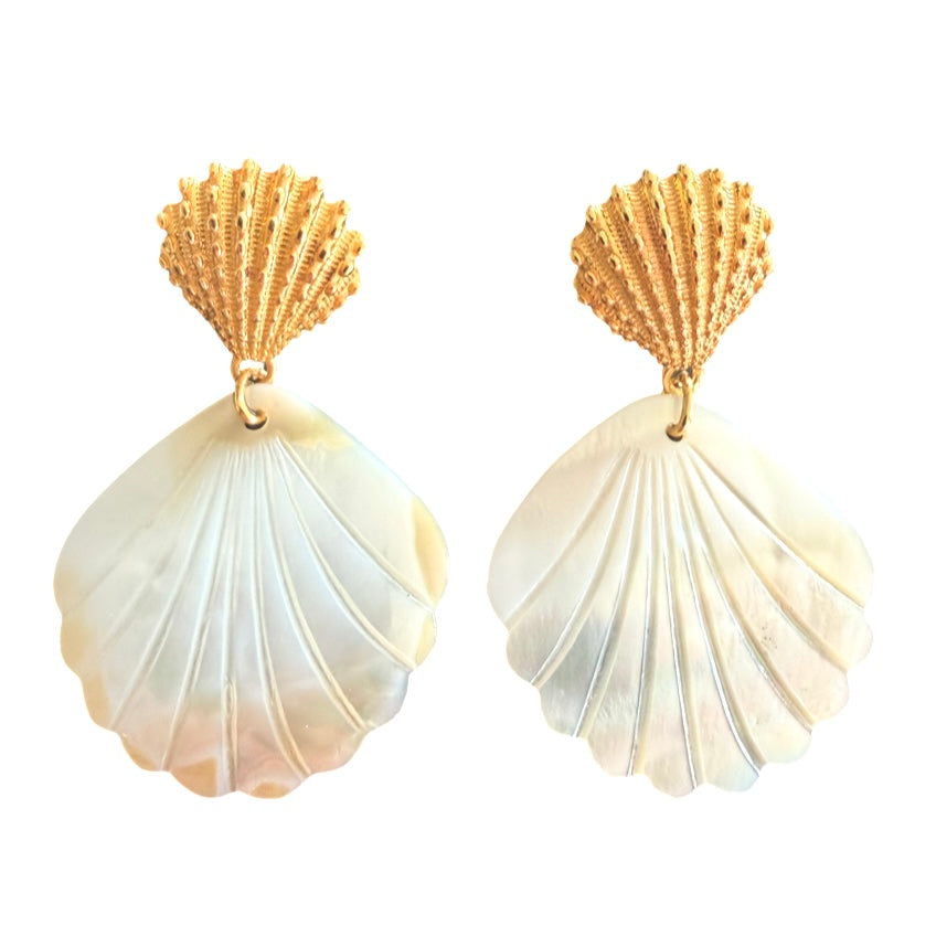 Ohrringe Conchiglia