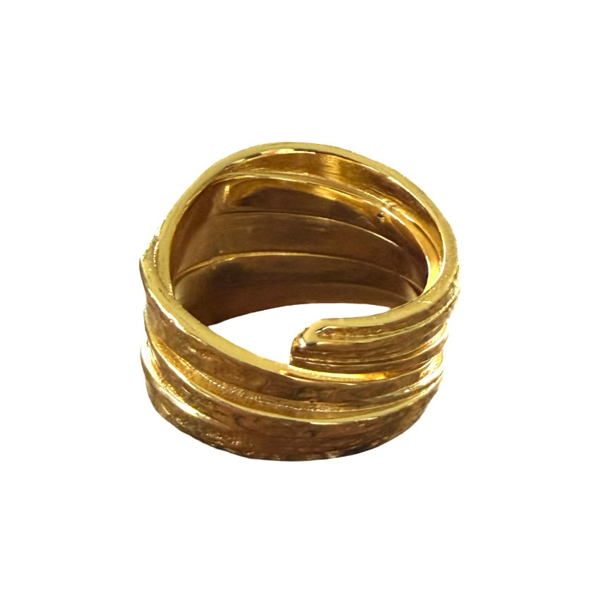 Ring Vela