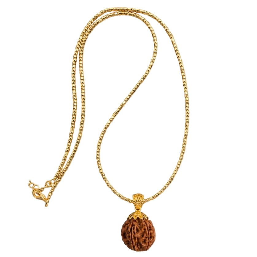 Halskette Rudraksha