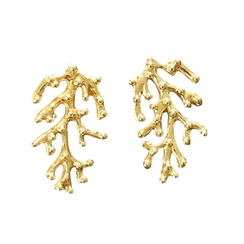 Ohrstecker Sea of Love Coral